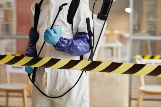 Professional Sewage Cleanup technician working in DuPont, WA