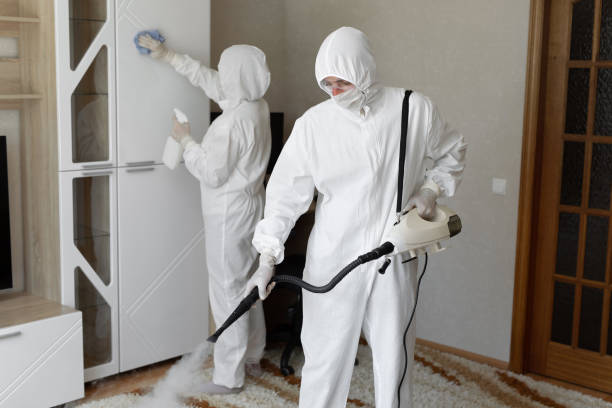 24/7 Emergency Sewage Cleanup experts in DuPont, WA